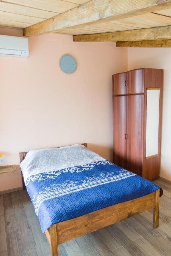 Irina Casa de hóspedes Soko Banja Exterior foto
